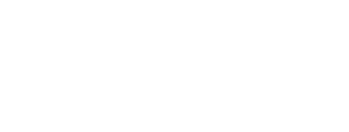 VFSOLUTION - strona główna
