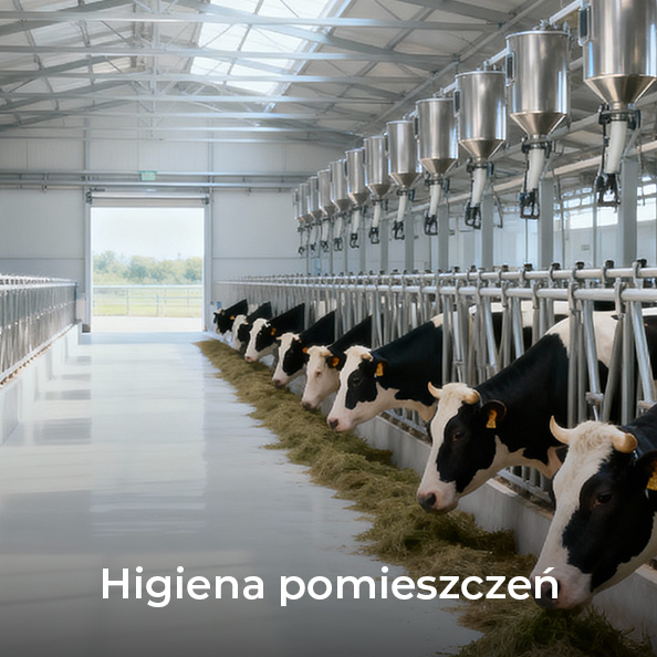 Higiena pomieszczeń