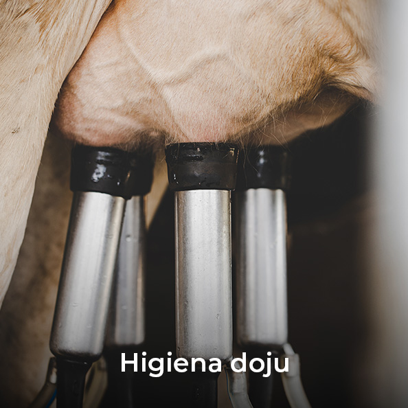 Higiena doju